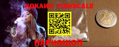 гидра Славгород