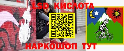 гидра Славгород