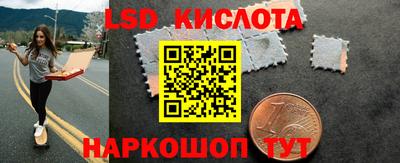 гидра Славгород