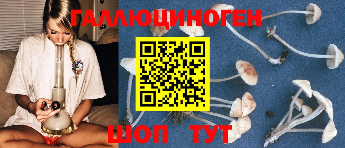 Галлюциногенные грибы мухоморы Орёл