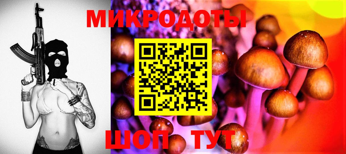 Псилоцибиновые грибы Cubensis  Псилоцибиновые грибы мицелий  Орёл  Вход с VPN 
