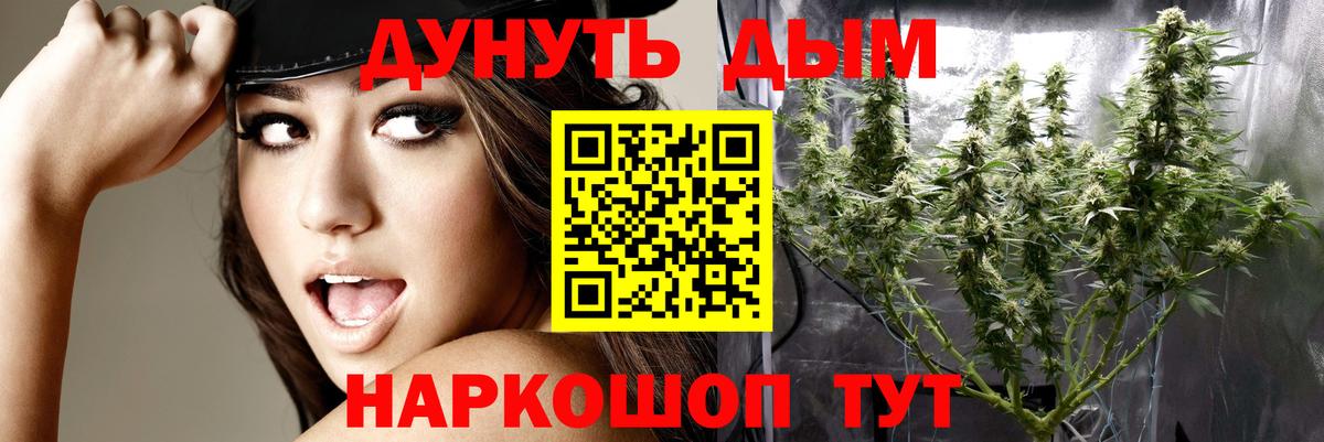 Шишки марихуана Bruce Banner  Бошки марихуана план  Вход с VPN  Орёл  Шишки марихуана планчик 